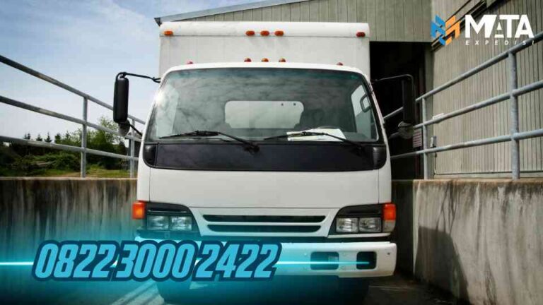 Sewa Truk Fuso Jakarta